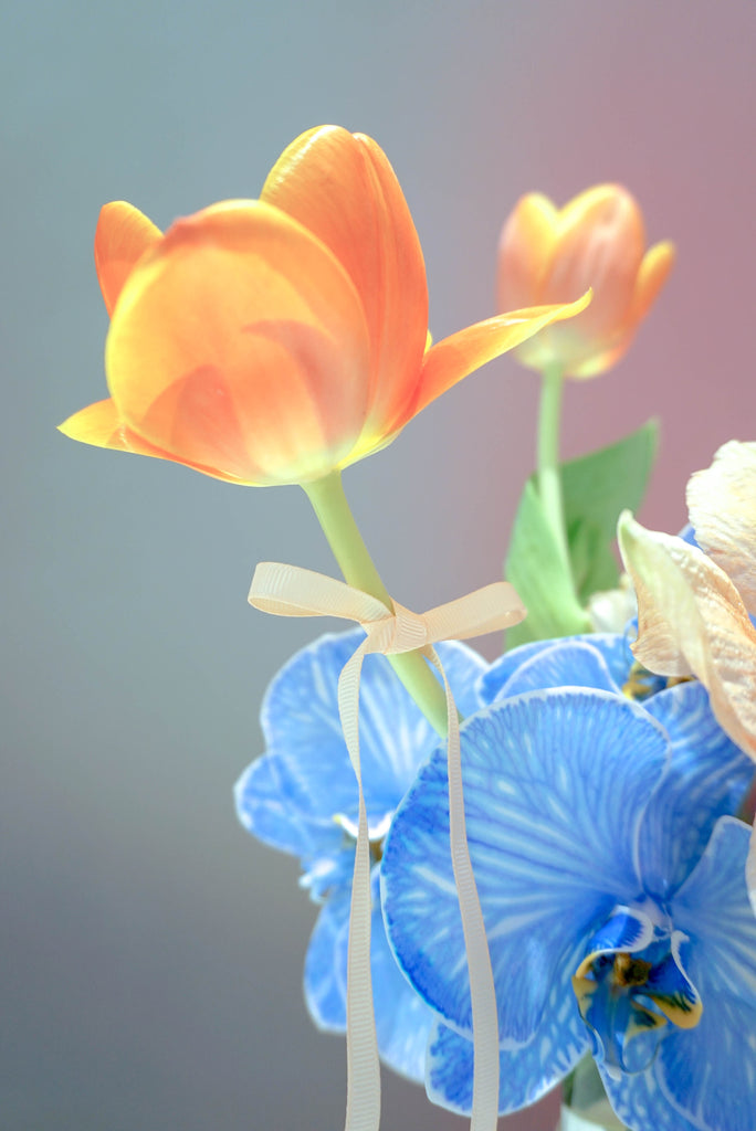 Blue is the warmest colour